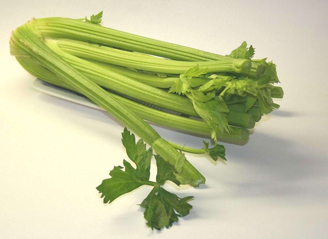 celery-74333