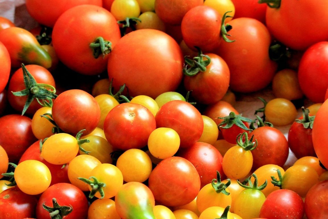 tomatoes-1569280_1920-1280x853.jpg