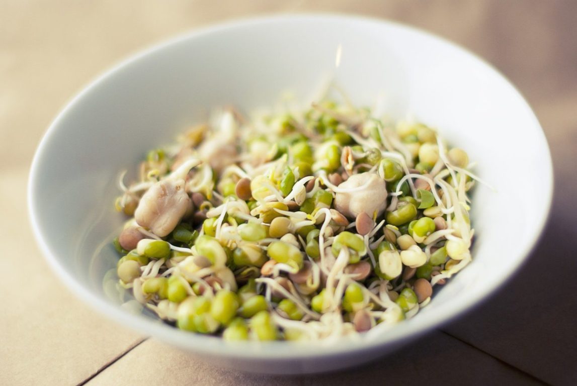 Sprouts-CURO-1280x857.jpg